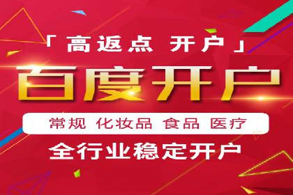 行业标杆的SEM竞价营销案例研究